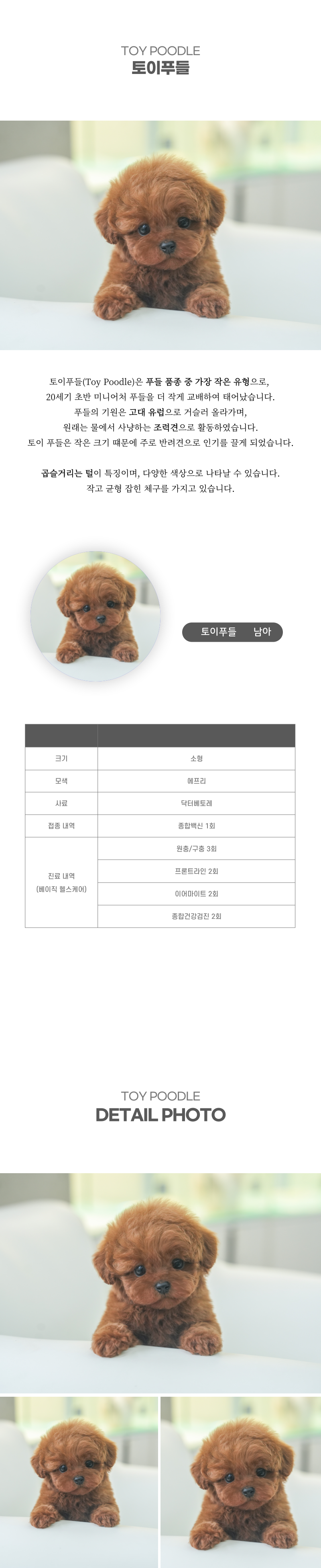 토이푸들_상세이미지_2